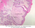 a63 von ebner serous salivary gland 2x labeled.jpg