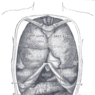 GrossAnatomy_GI