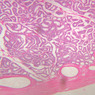 B82, Testis, 2.5x (H&E)