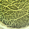 A86, Sciatic Nerve (Cross Section), 10x (Osmium)