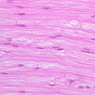 Neural Tissue